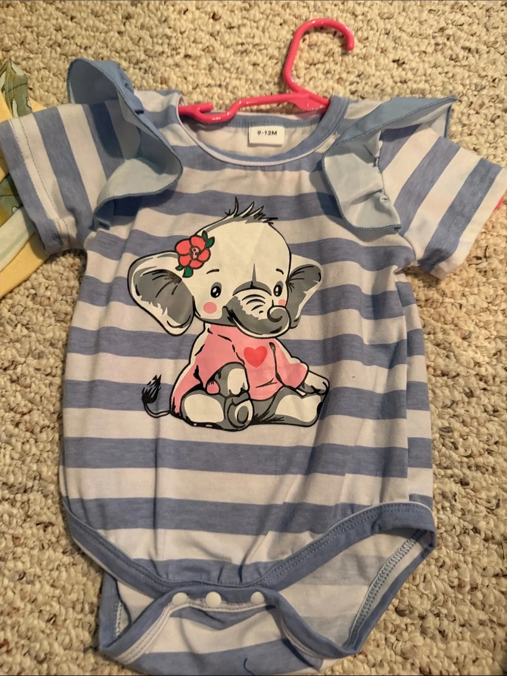Lot of Carter's Girls Miscellaneous Sizes 6 mo, 9-12 and 12 mo outfits